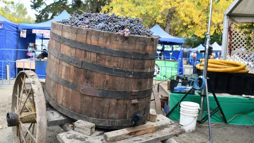 Más de 100 emprendedores darán vida a la Fiesta de la Vendimia Campesina en Yumbel