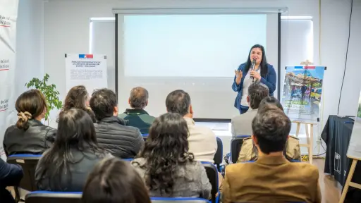 Biobío crea primera Comisión Regional para enfrentar riesgos sanitarios y ambientales