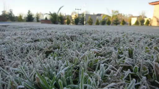Advierten heladas de hasta -2°C en el Biobío para este domingo y lunes