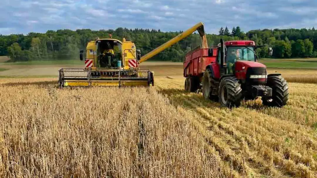 La siembra de cereales de invierno requiere de una aplicación precisa de urea para garantizar el desarrollo de la raíz antes de las heladas.
