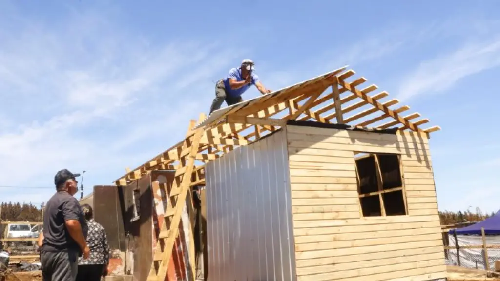 El sector forestal es estratégico y moviliza empleo regional desde el Maule hasta el sur del país.