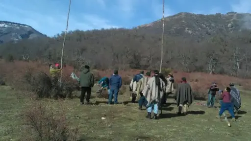 Comienza nuevo desalojo en Fundo Los Guindos de Alto Biobío reclamado por comunidad pehuenche