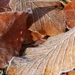 El fenómeno responde al avance de una masa de aire frío de origen polar., contexto