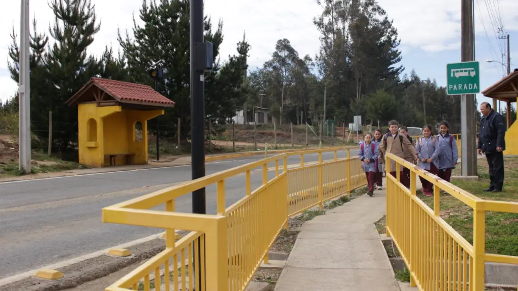 Seguridad vial en entornos escolares, Cedida