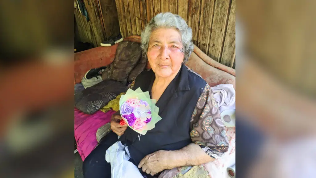 María Eufemia Muñoz Valdebenito, de 86 años, permaneció extraviada durante 15 días en un sector rural de Los Ángeles, en un caso que movilizó a equipos de emergencia y vecinos de la zona., Cedida