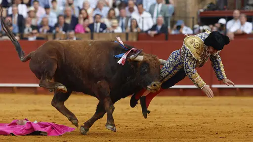 Torero español sufrió brutal cornada durante festejo de Feria de Abril: debieron reconstruir su esfínter en compleja cirugía