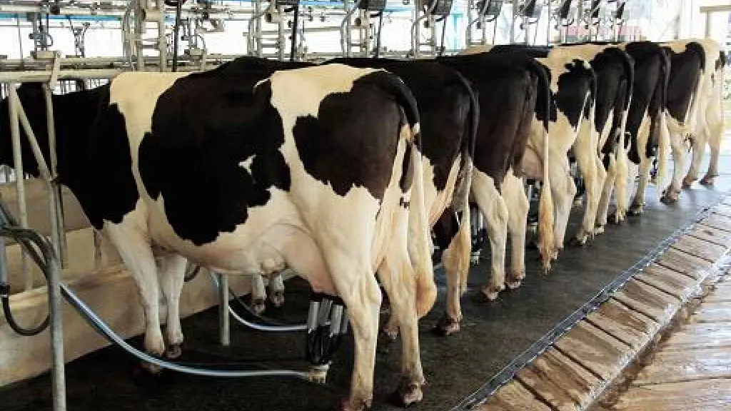 La actividad económica depende hoy de una profunda reestructuración operativa y financiera para enfrentar factores externos que no son visibles a simple vista, pero que afectan cada elemento de su cadena.