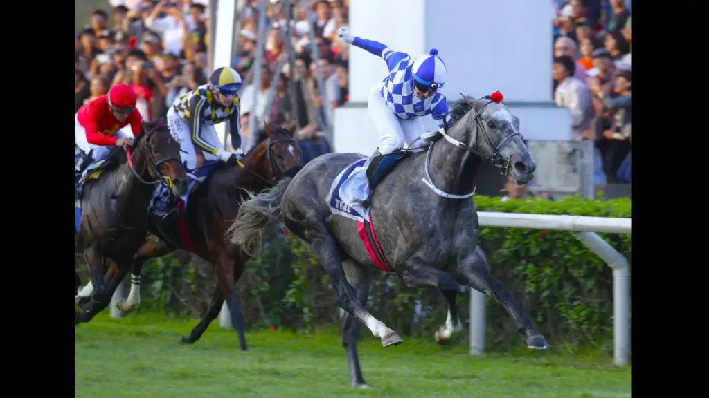 Teao, con Luis Adrián Torres en la silla, cruza victorioso la meta en Monterrico, desatando la celebración chilena tras un histórico triunfo en el Latinoamericano de Lima, La Tribuna