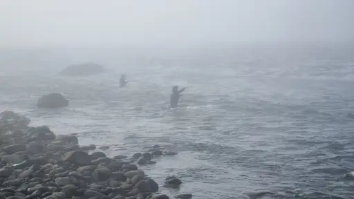 Río Biobío: Pescadores deportivos brillaron en campeonato realizado en Quilaco y Santa Bárbara