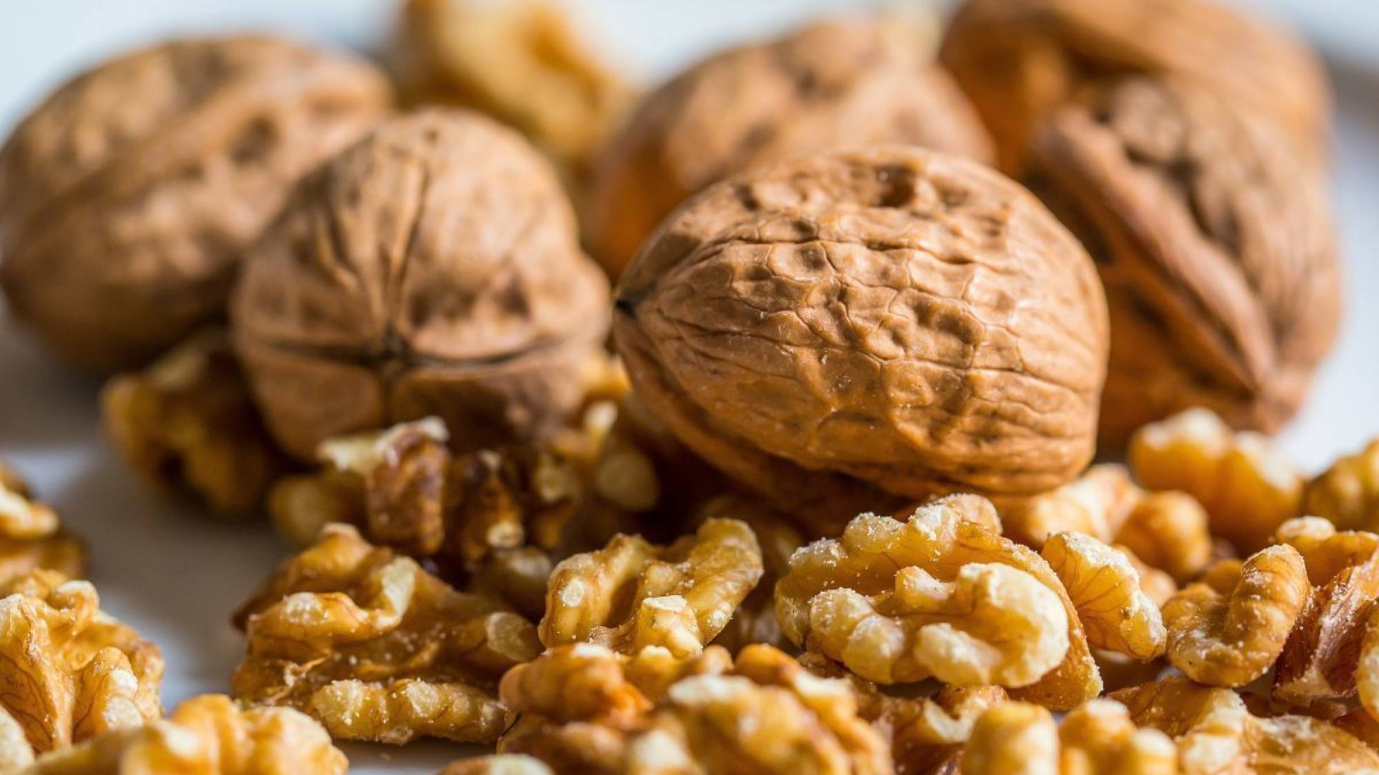 Chile cierra cosecha de nueces con alto estándar de calidad y liderazgo en el hemisferio sur