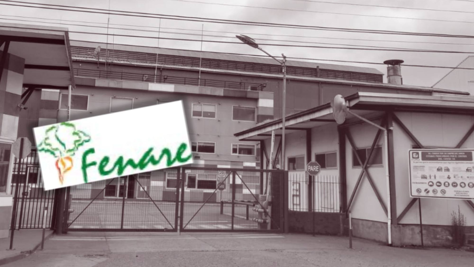 Fenare ante suspensión de cultivos por parte de Iansa: "Lo entendemos, pero no lo compartimos"