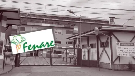 Fenare ante suspensión de cultivos por parte de Iansa: Lo entendemos, pero no lo compartimos