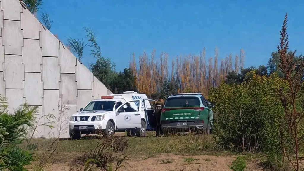 Personal de Carabineros de Chile, junto a la Policía de Investigaciones de Chile y el Servicio Médico Legal, realizó diligencias en el sector de Coihue, donde fue hallada una persona fallecida., @mitvinfo