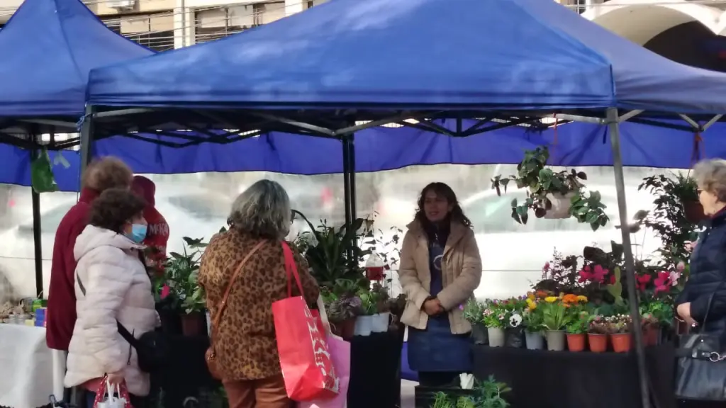 Registro actividad feria  | La Tribuna