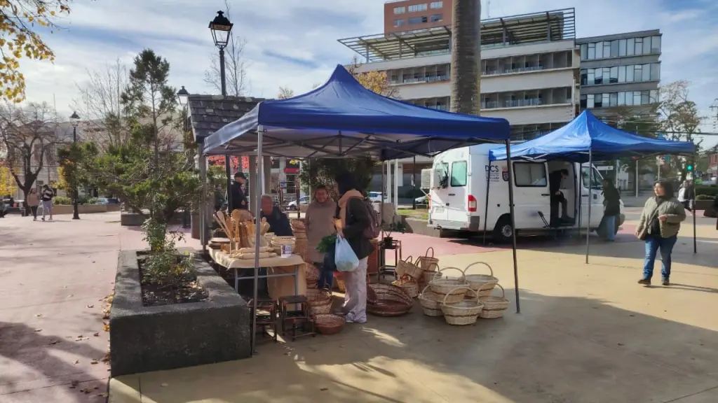 Registro actividad feria  | La Tribuna