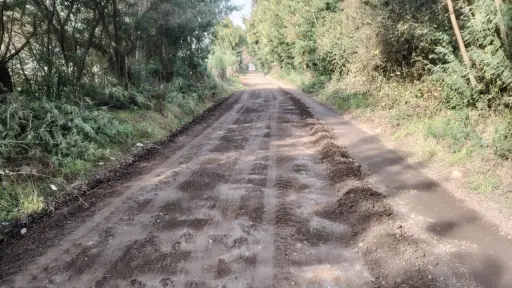 Municipalidad realiza trabajos de mejoramiento vial en sectores de Los Álamos Poniente y Avenida Cementerio
