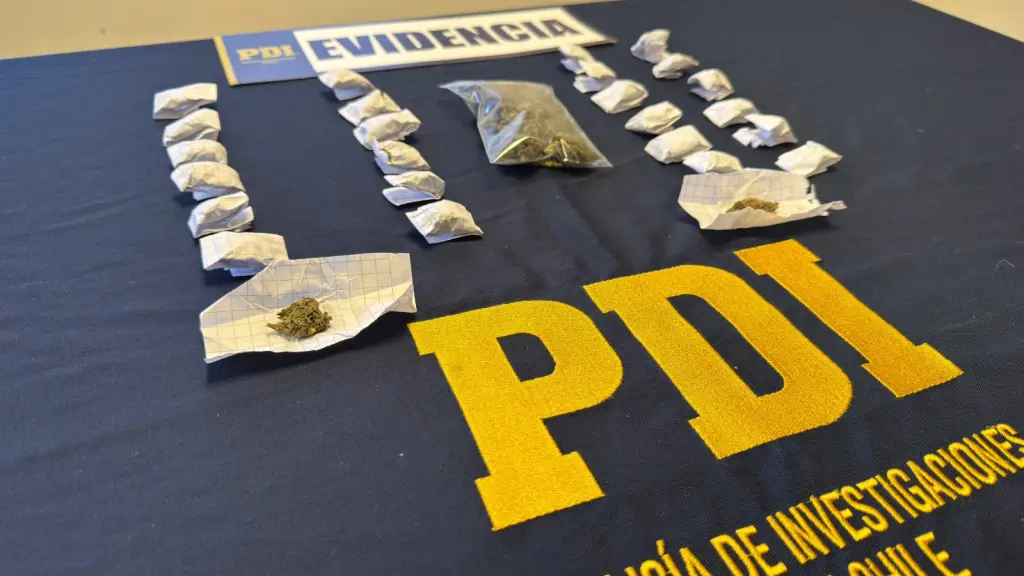 Droga incautada por la PDI en Quepe, PDI Araucanía