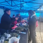 Participantes dialogan e intercambian plantas y saberes, reflejando el espiritu de reciprocidad; respeto y comercio justo que caracteriza el Trafkintu, La Tribuna