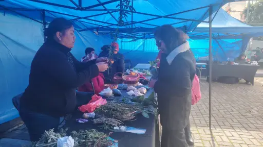 Trueque de plantas, semillas y saberes reunió a organizaciones y escuelas en Los Ángeles