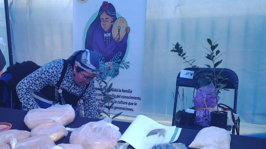 Trafkintu: una tradición de reciprocidad; respeto y comercio justo | La Tribuna