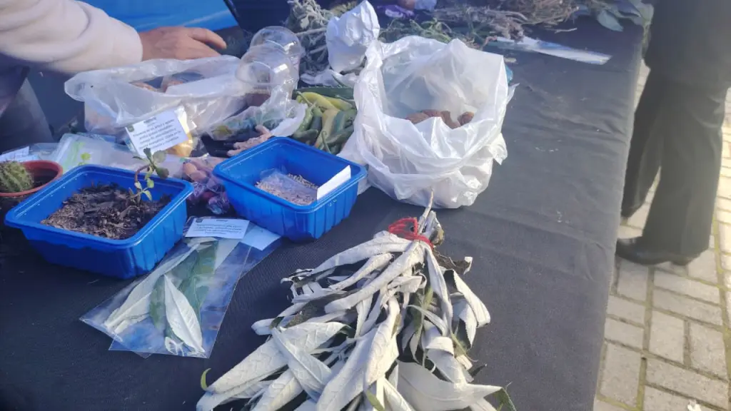 Trafkintu: una tradición de reciprocidad; respeto y comercio justo | La Tribuna