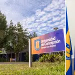 Francisco Brovelli Sepúlveda planteó que uno de los desafíos será fortalecer el posicionamiento institucional de la universidad en la provincia del Biobío., Cedidas
