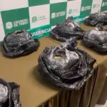 La cantidad de droga incautada está avaluada en $86.000.000, Carabineros de Chile