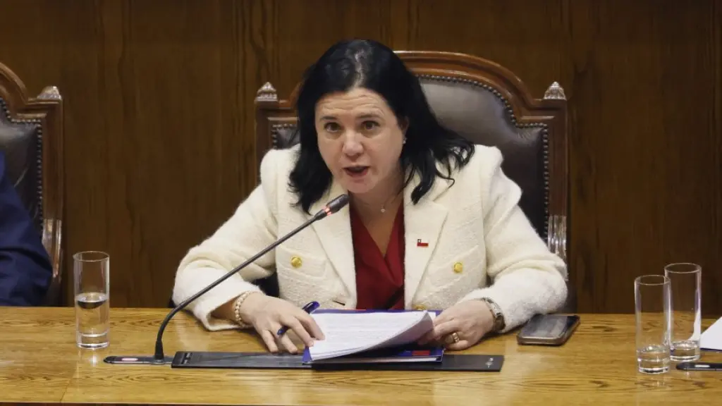 La ministra Trinidad Steinert confirmó que el Gobierno oficializará el plan de seguridad tras las críticas surgidas en el Congreso., Aton