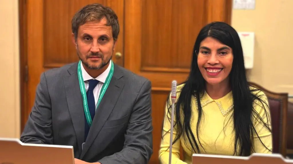 Las diferencias por la conducción interna del ministerio terminaron precipitando su salida., Radio Biobío