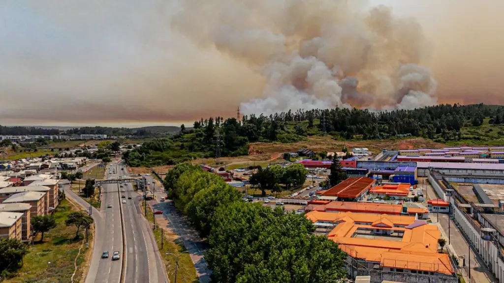 Incendios forestales, Cedida
