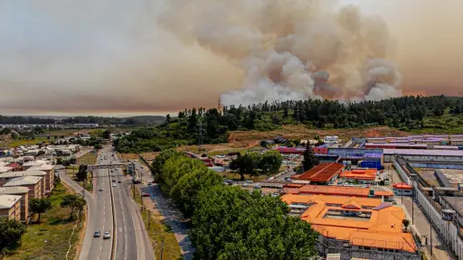 Más de 700 emprendedores siguen golpeados por incendios en Biobío: alta vulnerabilidad y baja formalización frenan la recuperación
