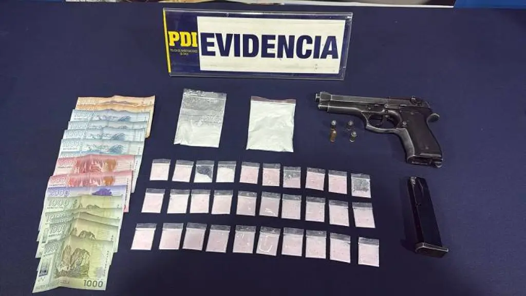 Especies incautadas en operativo realizado en Laguniillas, PDI Biobío