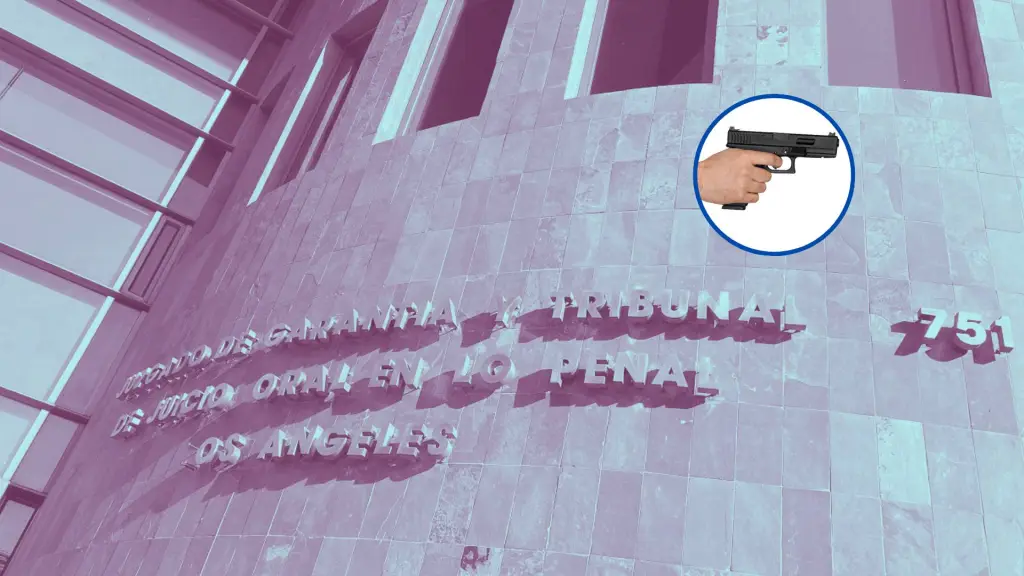 El caso corresponde a un crimen registrado en enero de 2020 en el sector Villa Los Profesores de la comuna de Los Ángeles., La Tribuna