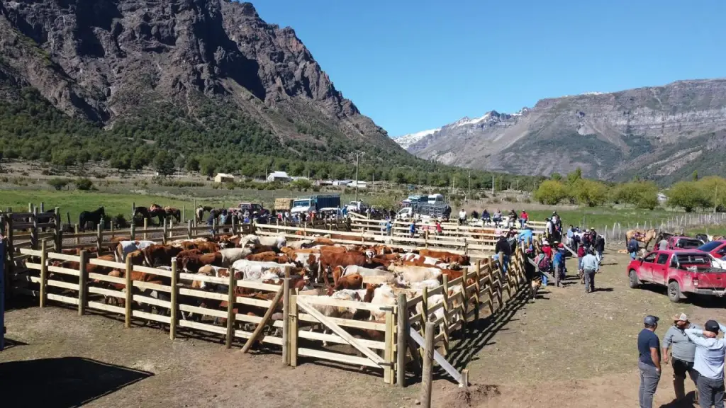 La comercialización logró que los productores mitigaran los altos costos operativos que en sectores como el lechero alcanzan hasta el 70% del capital anual.