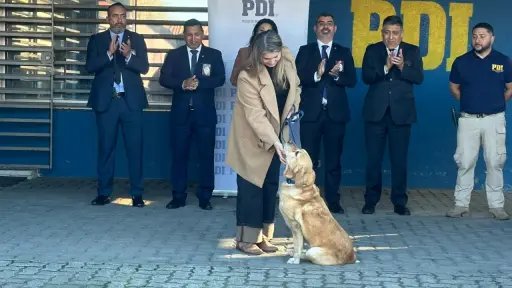 Adiós a Donkan: el héroe de cuatro patas que dedicó su vida a combatir el narcotráfico