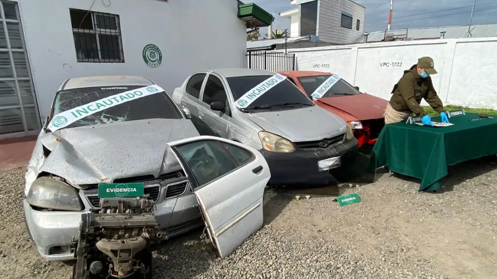 Especies incautadas por Carabineros del SEBV, Ministerio Público