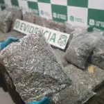 Marihuana incautada por el O.S.7 de Carabineros de Concepción, Carabineros de Chile 