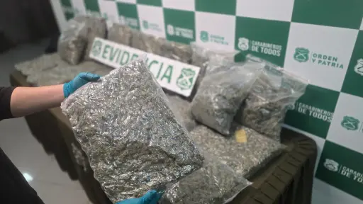 Incautan más de 20 kilos de marihuana en operativo antidrogas en el ingreso al Gran Concepción