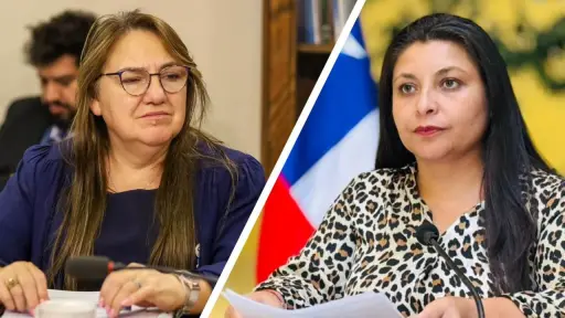 A cuatro años del estado de excepción diputadas PDG de la macrozona sur piden mayor presencia del Estado y medidas integrales de seguridad