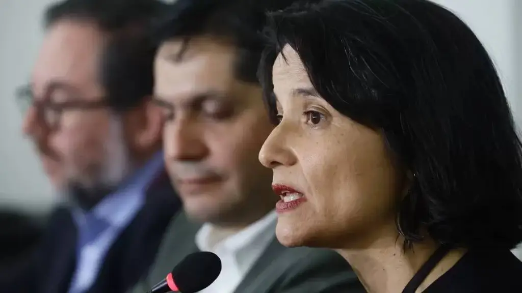 Anamaría Arriagada defendió el secreto profesional y alertó sobre riesgos para pacientes migrantes., La Nación