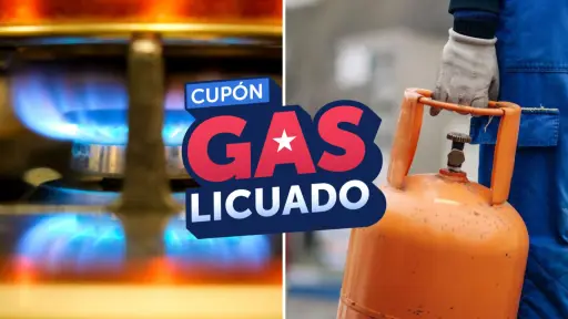 Gobierno implementa entrega de cupón de gas licuado a través de internet
