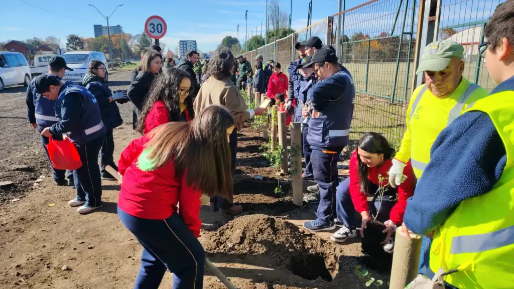 Registro de actividad: Plantación 287 árboles nativos en conmemoración del aniversario de Los Ángeles | La Tribuna