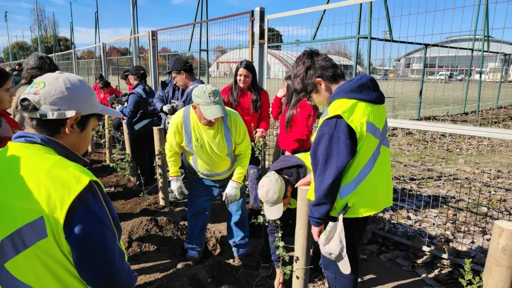 Registro de actividad: Plantación 287 árboles nativos en conmemoración del aniversario de Los Ángeles | La Tribuna