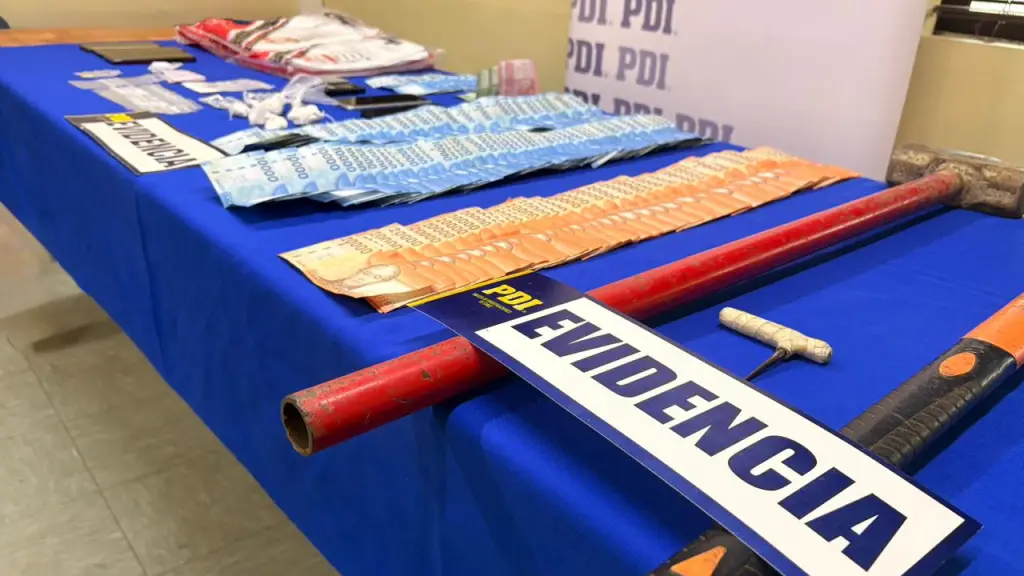Especies incautadas por detectives de la PDI, PDI Araucanía