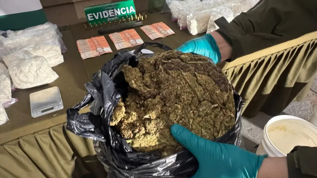 Droga incautada en operativo liderado por el O.S.7 en Penco, Carabineros de Chile