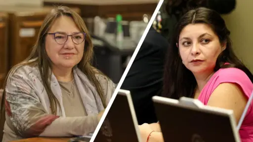 Diputadas PDG de la Macrozona Sur valoran detención de Jorge Huenchullán en Temucuicui y piden plan integral de seguridad