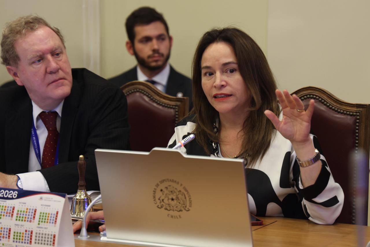 Diputada Joanna Pérez / Oficina Parlamentaria