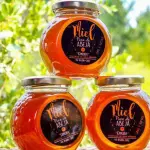 Miel - Gentileza INDAP, Indap