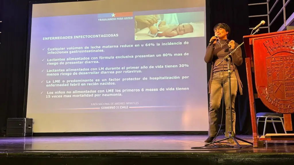 Jornada Anual de Capacitación en Lactancia Materna desarrollada en Lebu, Seremi de Salud Biobío