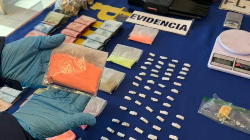 Desarticulan banda criminal dedicada al tráfico de drogas en Biobío y La Araucanía